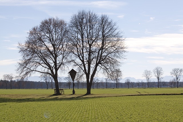 Wegkreuz / pixabay Wegkreuz
