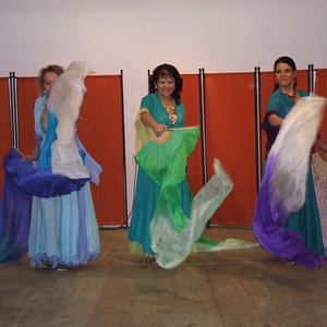 Seniorenfasching