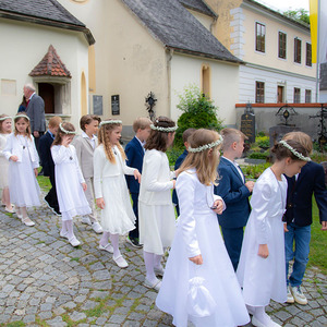 Auszug 